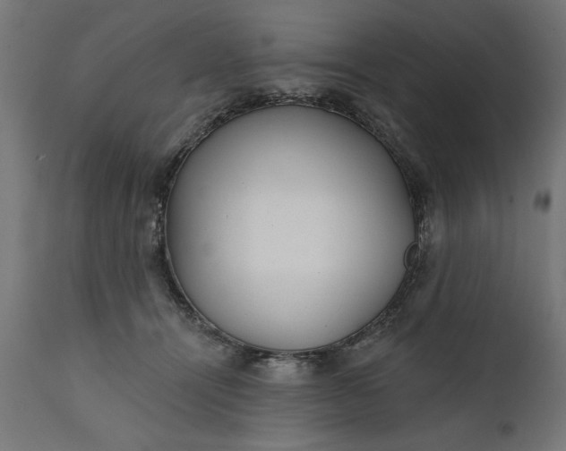 X0000111480464200907281207