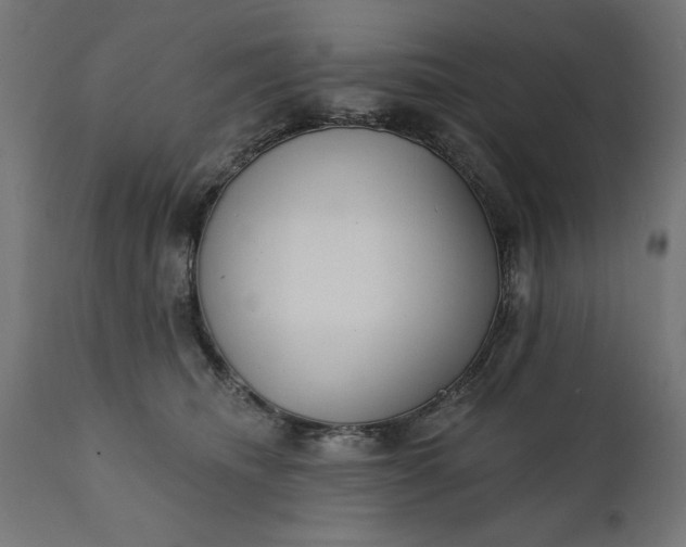 X0000111480468200907281207