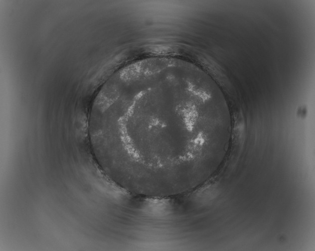 X0000111480469200907281207