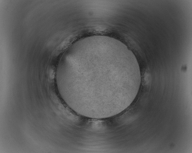 X0000111480472200907281207