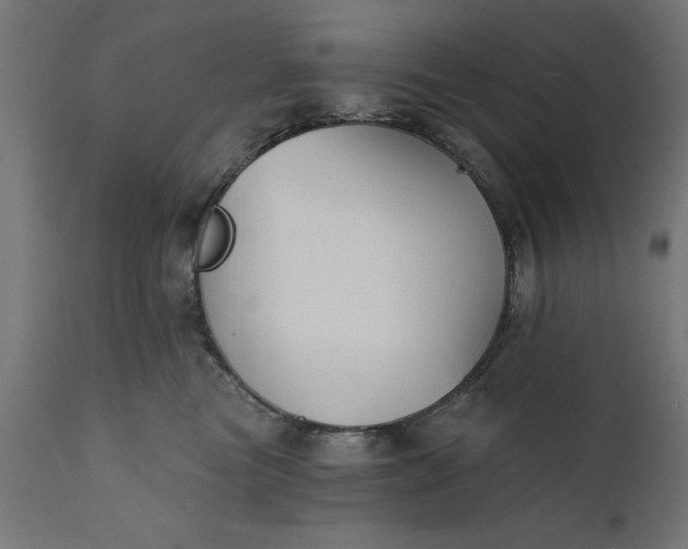 X0000111480473200907281207