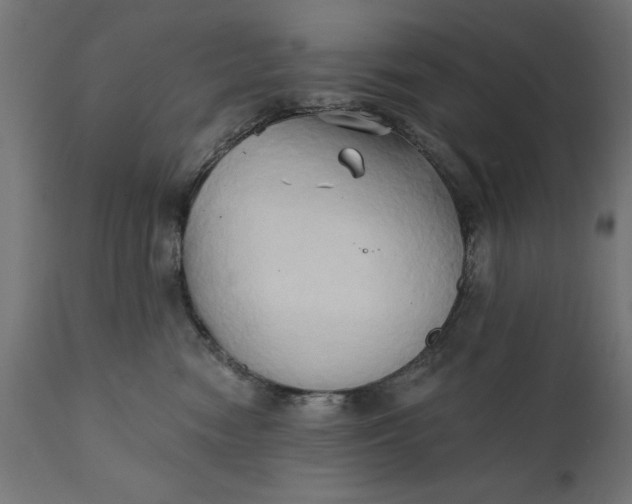 X0000111480474200907281207