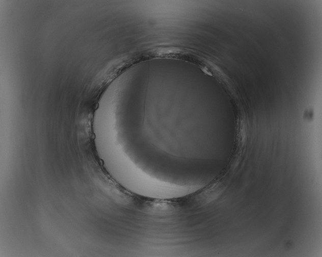 X0000111480475200907281207