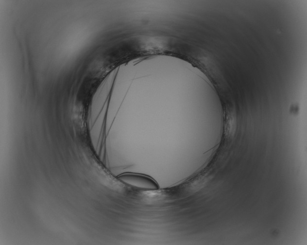 X0000111480477200907281207