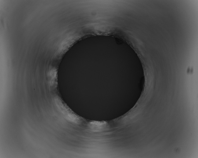 X0000111480480200907281207