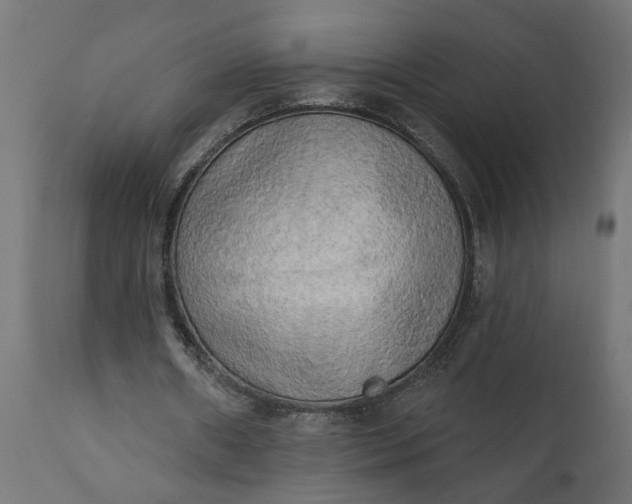 X0000111480482200907281206