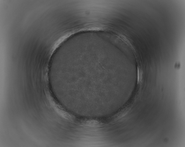 X0000111480483200907281206