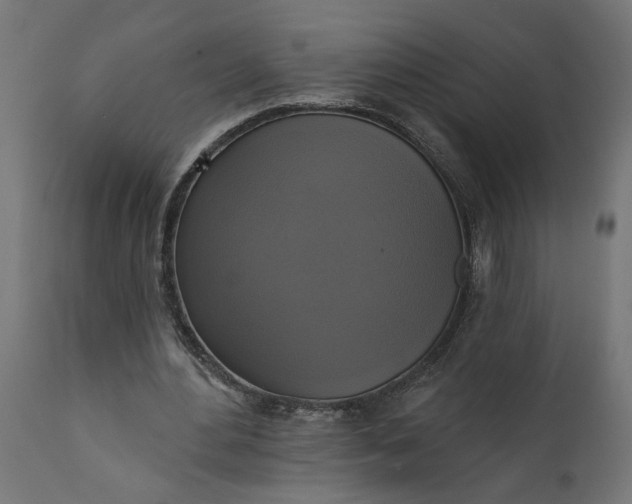 X0000111480484200907281206
