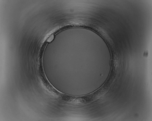 X0000111480488200907281206