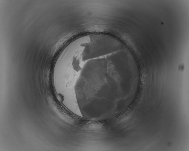 X0000111480491200907281206