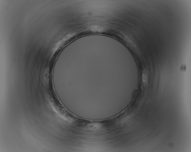 X0000111480492200907281206