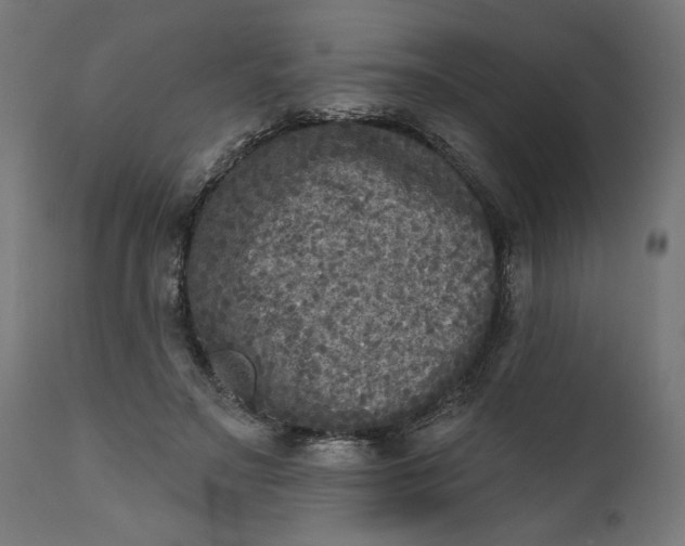 X0000111480499200907281206