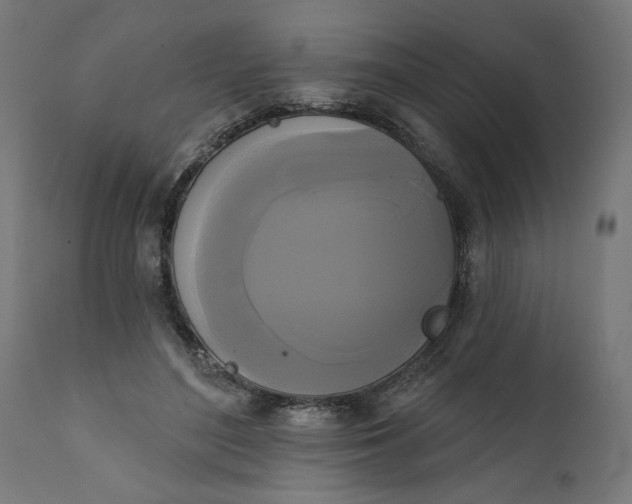 X0000111480500200907281206