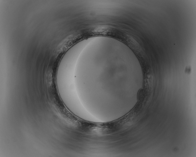 X0000111480504200907281206