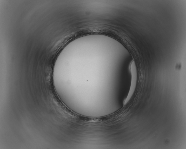 X0000111480505200907281206