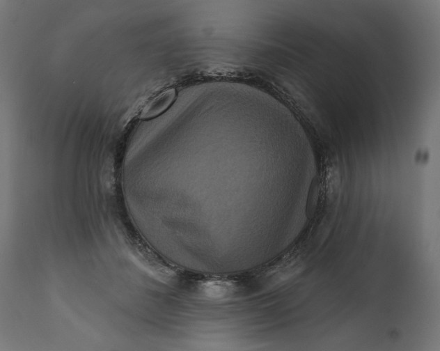 X0000111480508200907281206