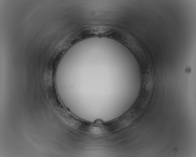 X0000111480510200907281206