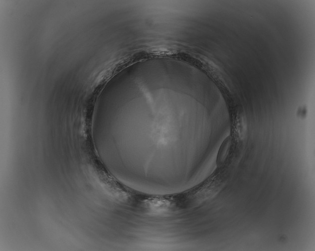 X0000111480512200907281206