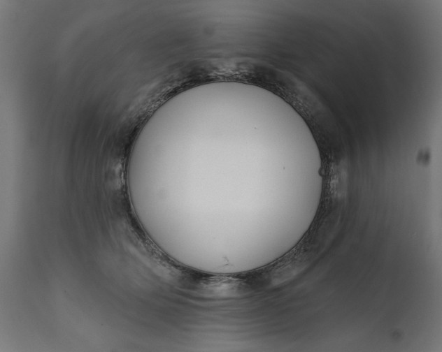 X0000111480514200907281206