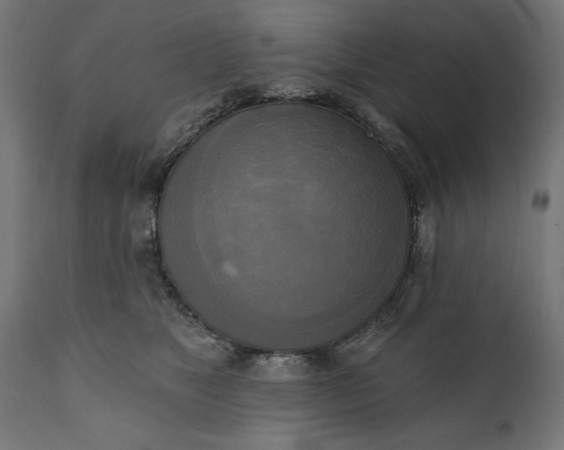 X0000111480517200907281206
