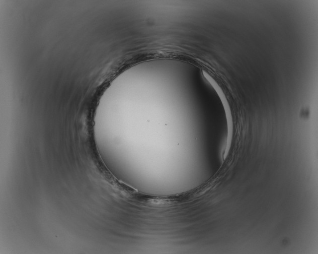 X0000111480520200907281206