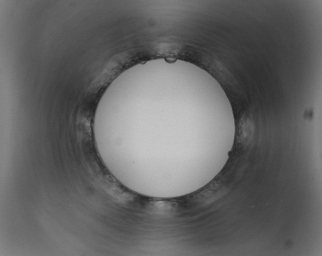 X0000111480522200907281206