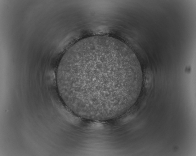 X0000111480523200907281206