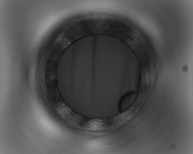 X0000111480526200907281206