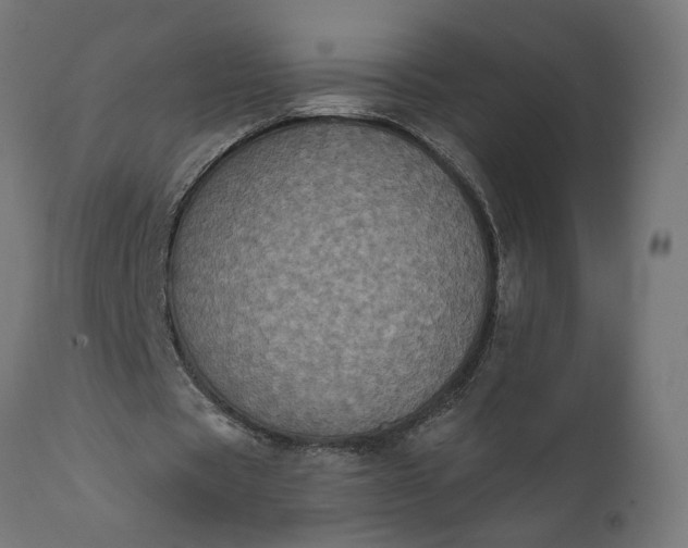 X0000111480529200907281205