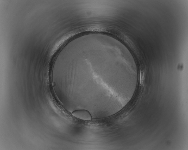 X0000111480531200907281205