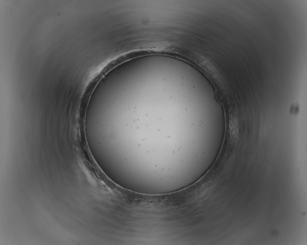 X0000111480532200907281205