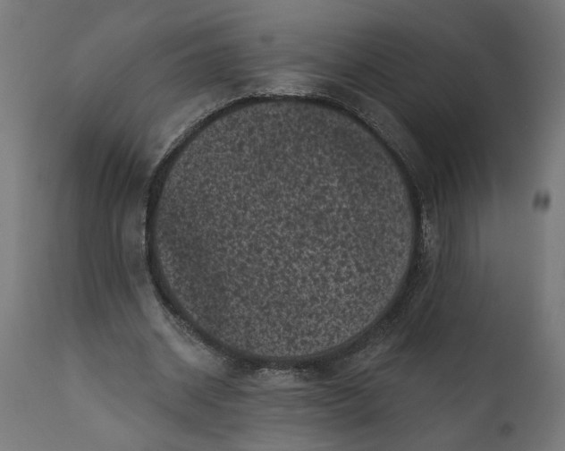 X0000111480534200907281205