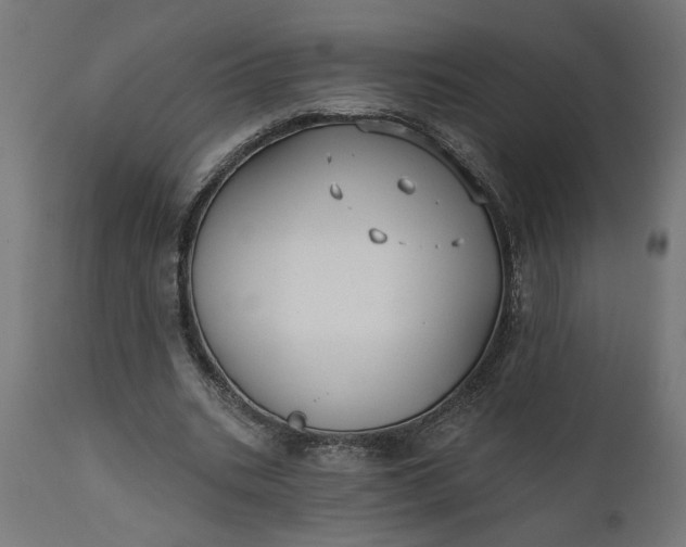 X0000111480535200907281205