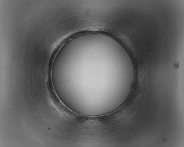 X0000111480536200907281205