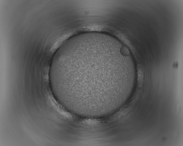 X0000111480537200907281205