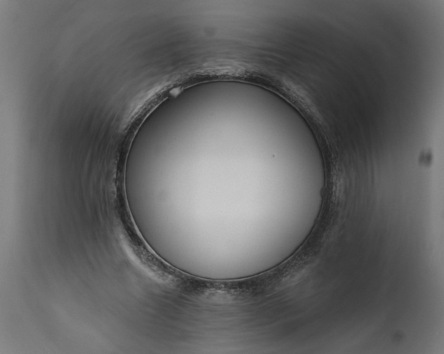 X0000111480538200907281205