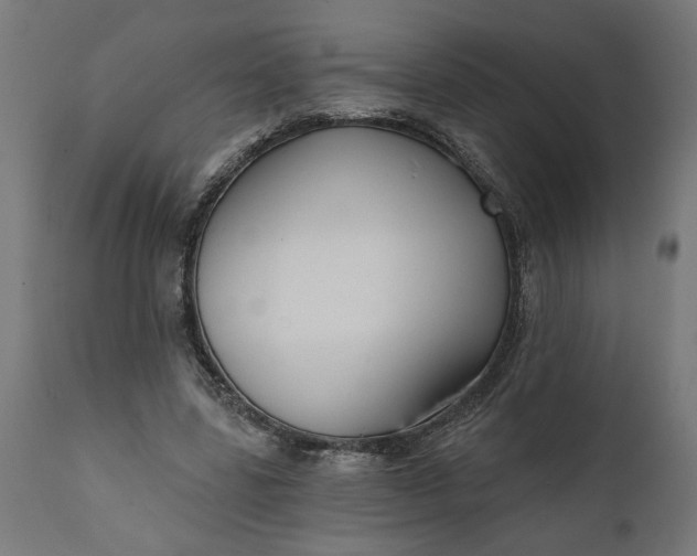 X0000111480539200907281205