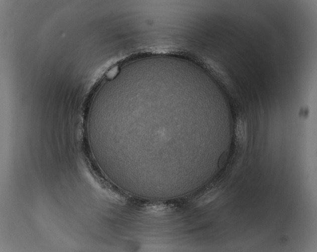 X0000111480540200907281205