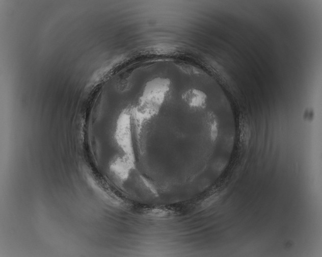 X0000111480542200907281205