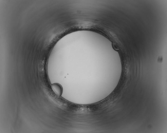 X0000111480543200907281205