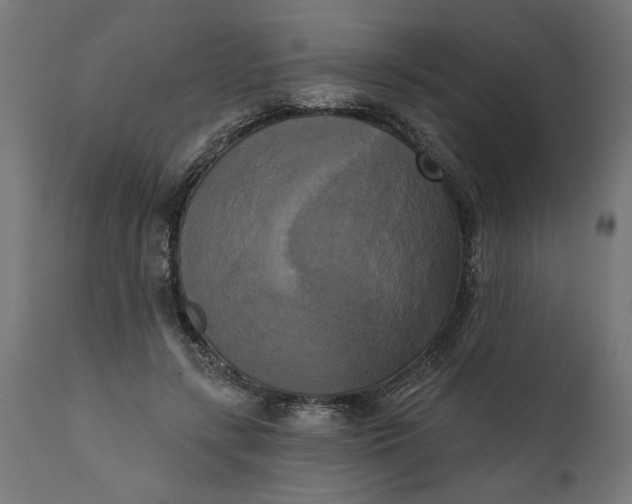 X0000111480547200907281205