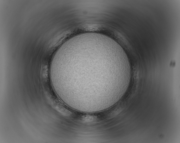 X0000111480549200907281205