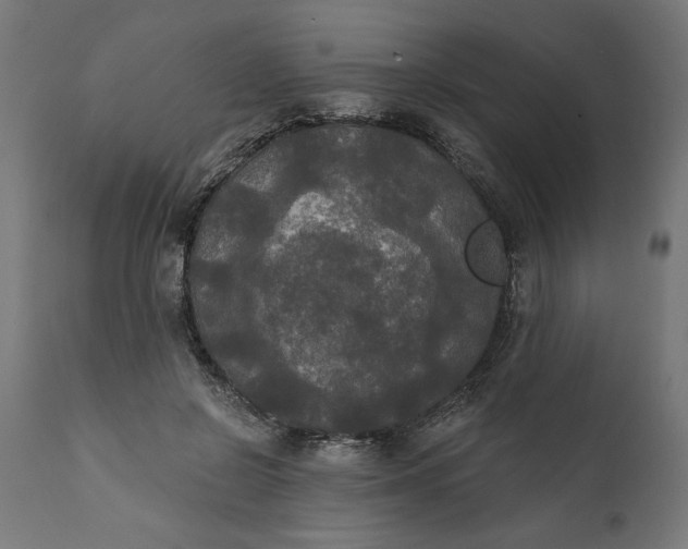 X0000111480550200907281205