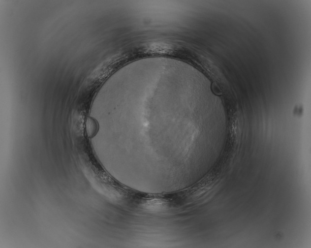 X0000111480551200907281205