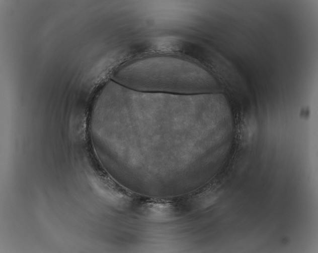 X0000111480552200907281205
