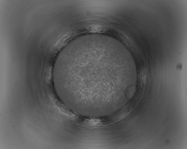 X0000111480554200907281205