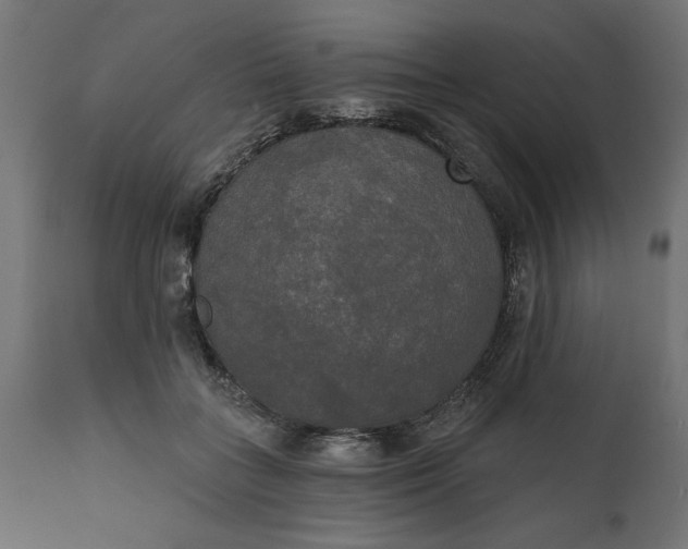 X0000111480555200907281205