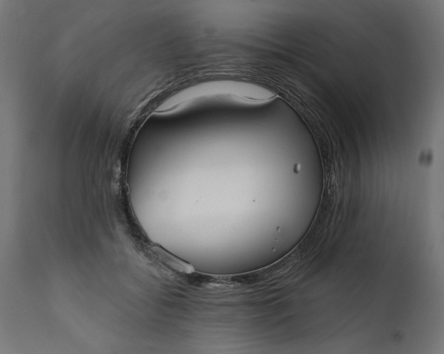 X0000111480556200907281205