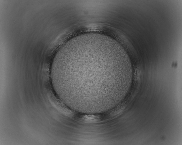 X0000111480557200907281205