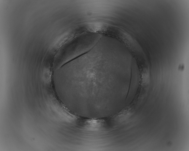 X0000111480558200907281205